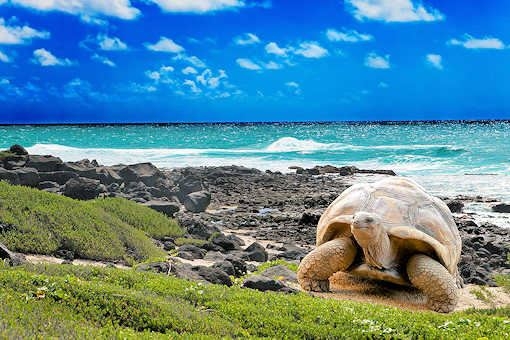 Seychellen Klima