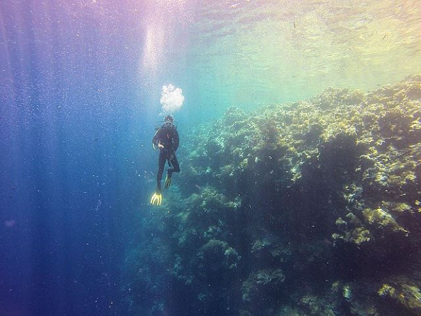 Drop off - Tauchen Pemba