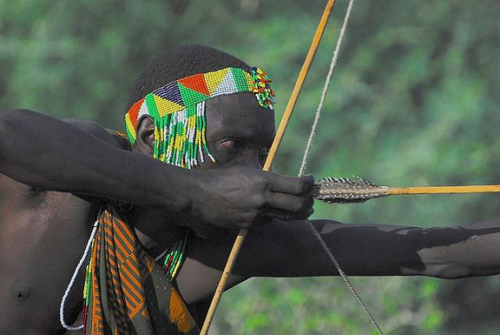 Feinde des Afrikanischen Löwen