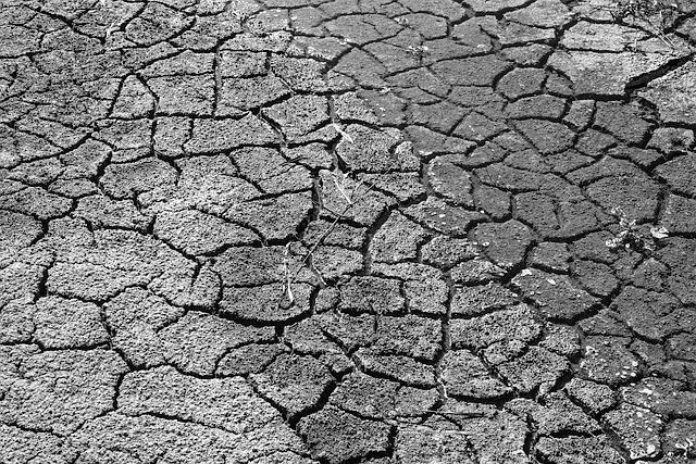 Wassermangel in Afrika