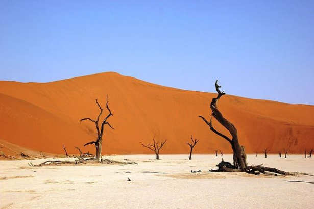 Afrika Reisen nach Namibia