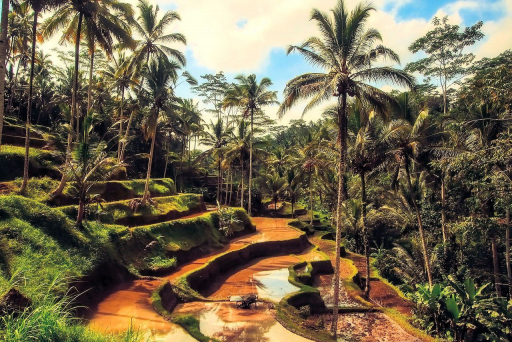 Bali Tipps