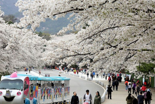 Südkorea Reise zusammenstellen