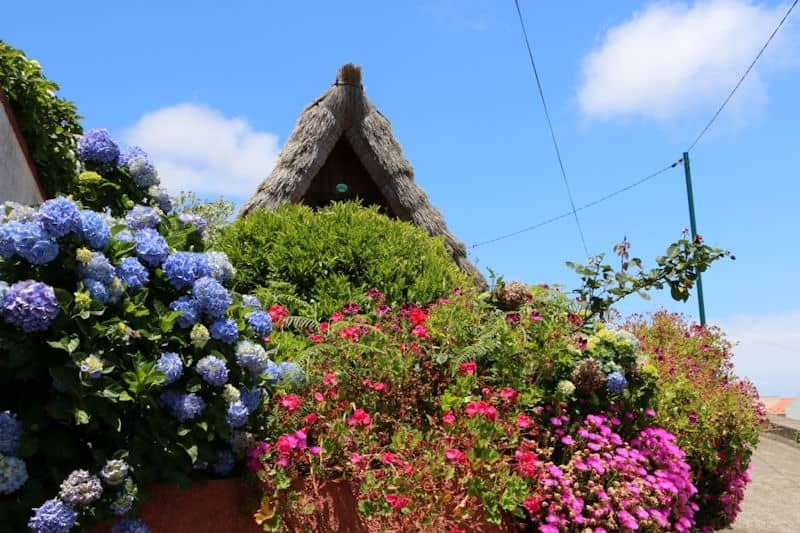 Insel des ewigen Frühlings Madeira - Foto JUREBU Insel des ewigen Frühlings Madeira